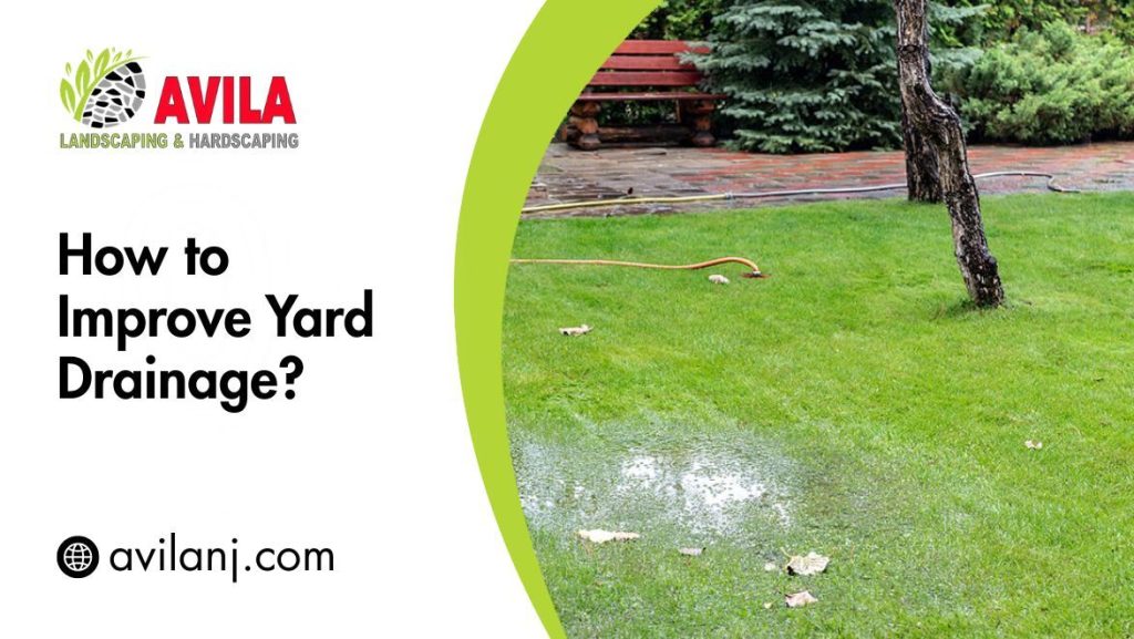 How to Improve Yard Drainage?