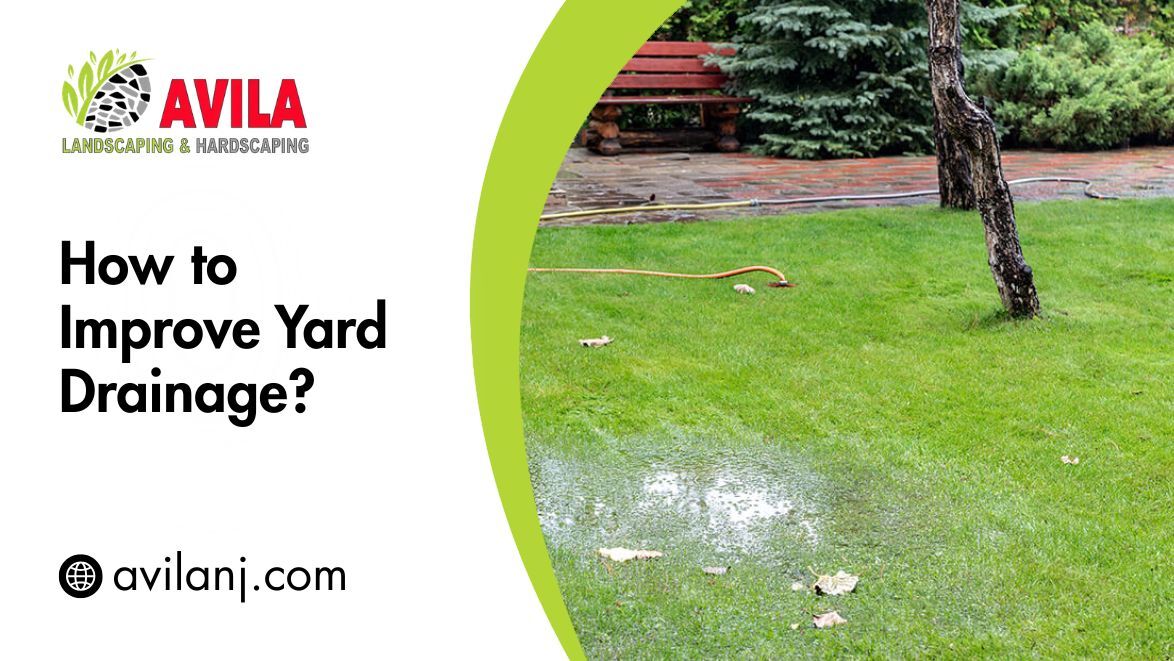 How to Improve Yard Drainage?