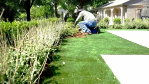 Professionally Maintained Lawns