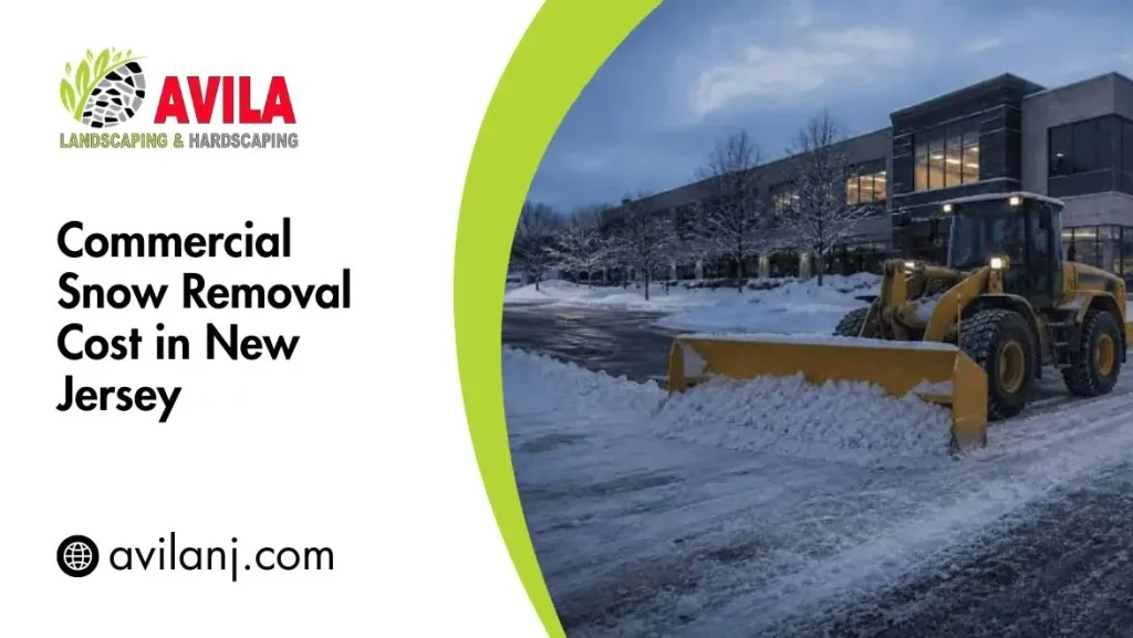 Commercial Snow Removal Cost in New Jersey