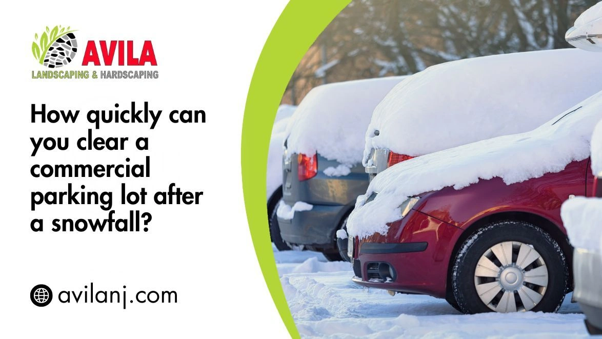 How Quickly Can You Clear a Commercial Parking Lot After a Snowfall